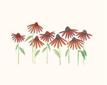 Blumensalon Ilse Böse