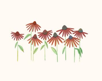 Blumensalon Ilse Böse Screenshot