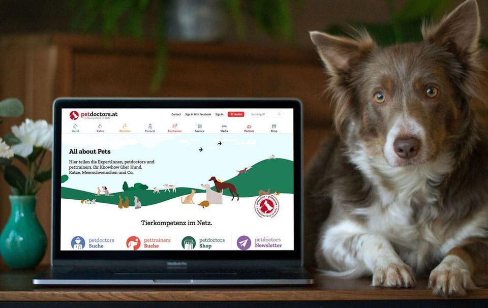 Die Petdoctors Frontpage mit einer Illustration die viele Tiere gemeinsam in der Natur zeigt